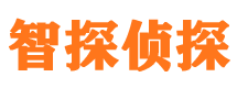 武都市私家侦探